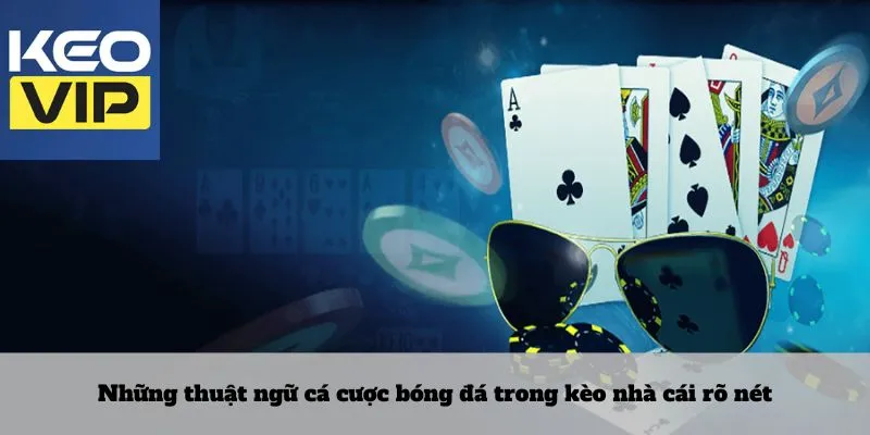 Trang Chủ 4 Những thuật ngữ cá cược bóng đá trong kèo nhà cái rõ nét