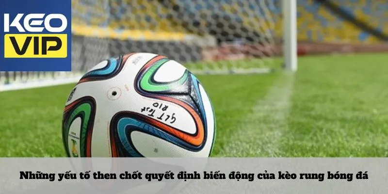 Kèo rung bóng đá 3 Những yếu tố then chốt quyết định biến động của kèo rung bóng đá