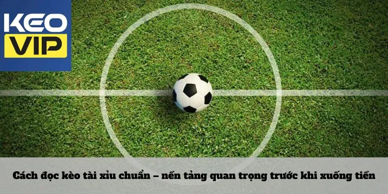 Kèo tài xỉu 3 Cách đọc kèo tài xỉu chuẩn – nền tảng quan trọng trước khi xuống tiền