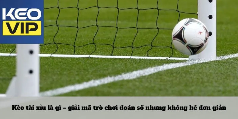 Kèo tài xỉu 2 Kèo tài xỉu là gì – giải mã trò chơi đoán số nhưng không hề đơn giản