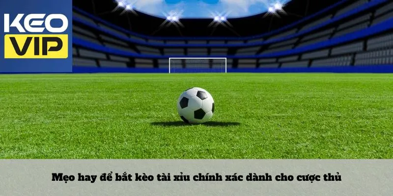 Kèo tài xỉu 4 Mẹo hay để bắt kèo tài xỉu chính xác dành cho cược thủ