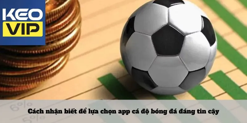 Lựa chọn app cá độ bóng đá 3 Cách nhận biết để lựa chọn app cá độ bóng đá đáng tin cậy